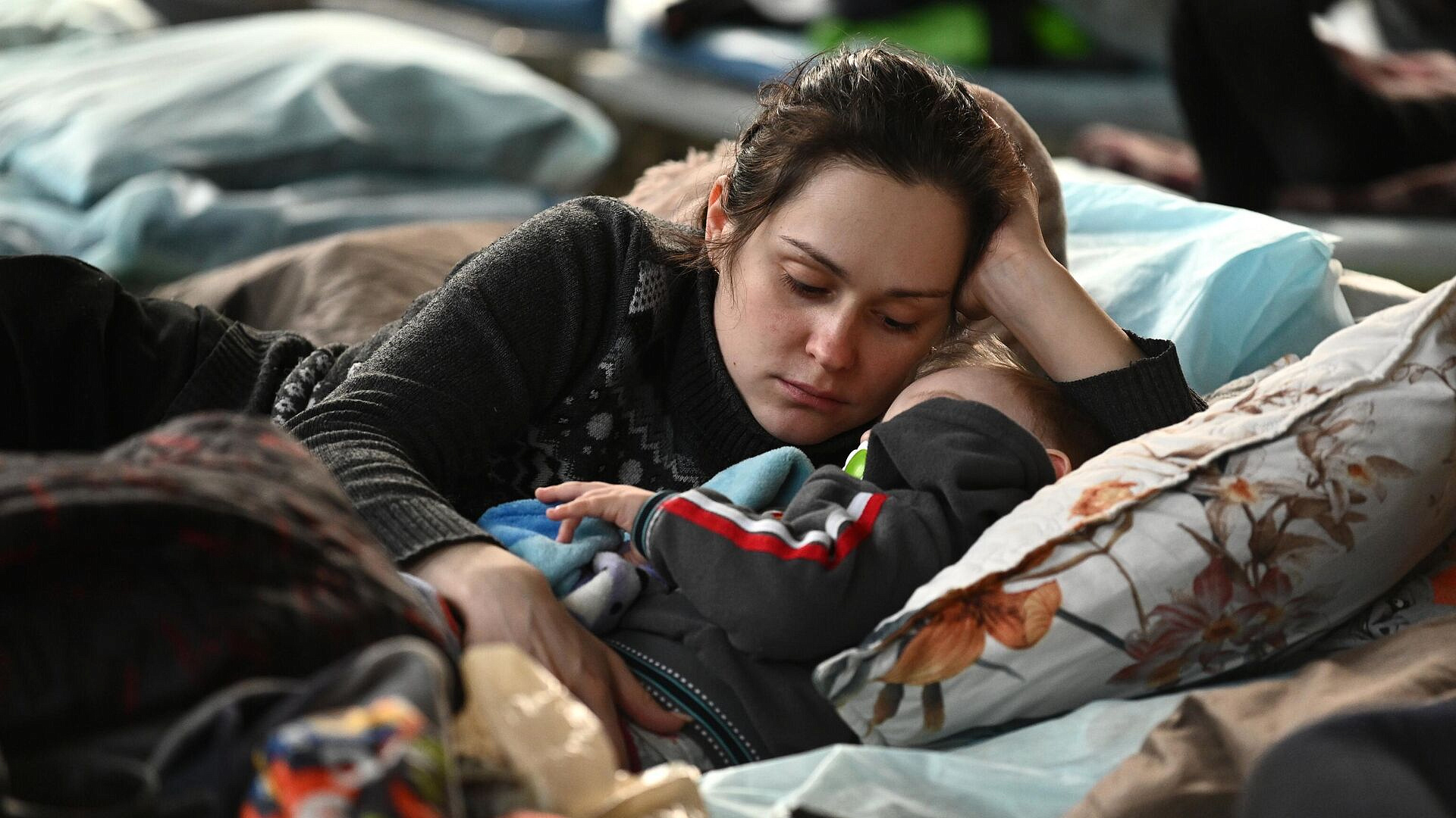 Учащиеся в России словацкие студенты помогают беженцам из зоны СВО