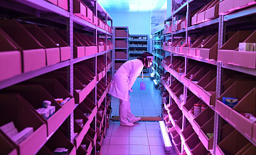 Развоз "Зифлукорта", скопившегося в аптеках, начнется в ближайшее время