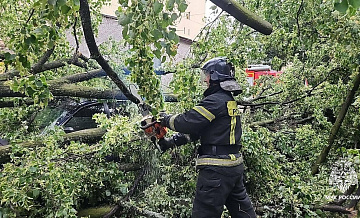 В Ленинградской области нет света у почти десяти тысяч человек