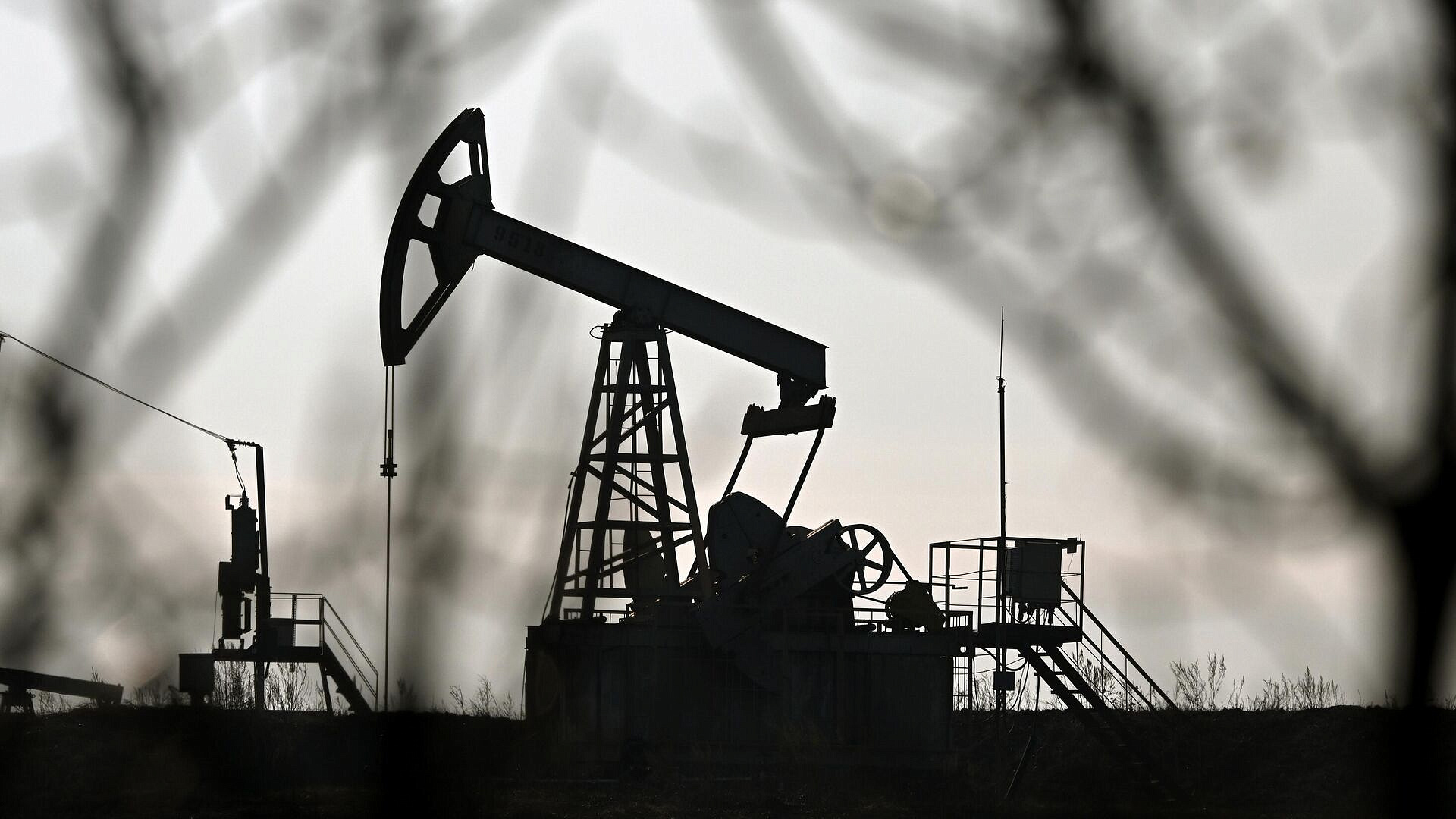 МВФ спрогнозировал рост цен на нефть в мире более чем на 20 процентов