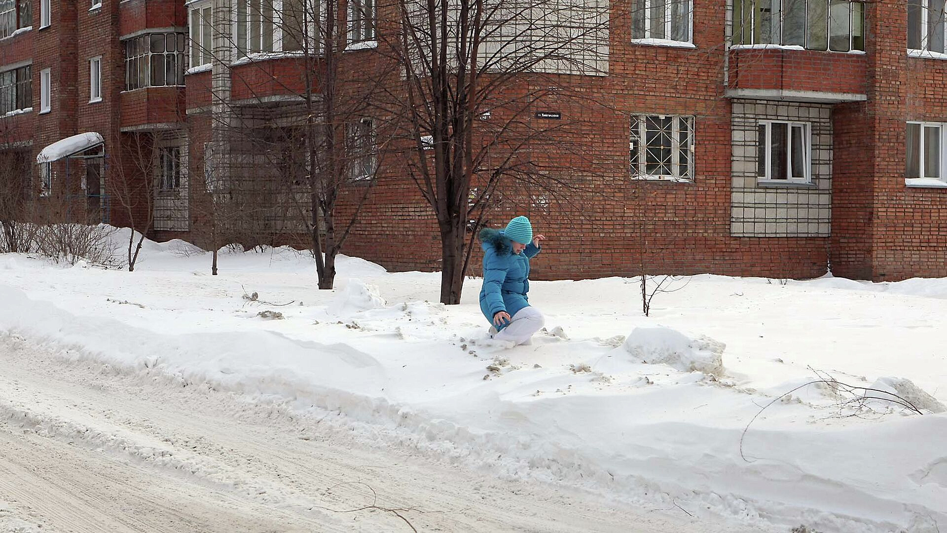 В Новосибирске отменили общегородской субботник В Новосибирске отменили общегородской субботник