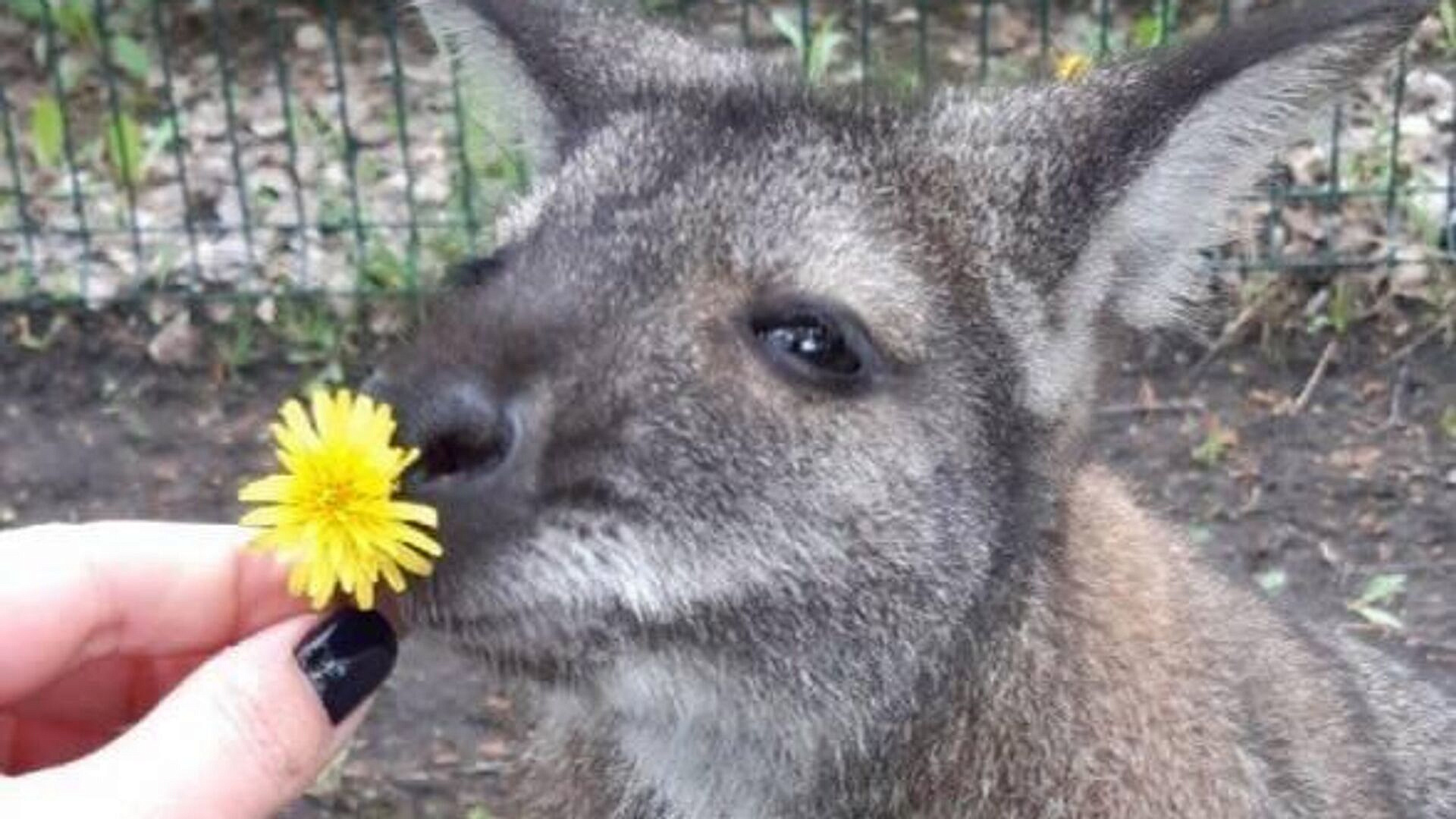 ��� �������� ��������� ������ ������� ������ ������� � �������� 