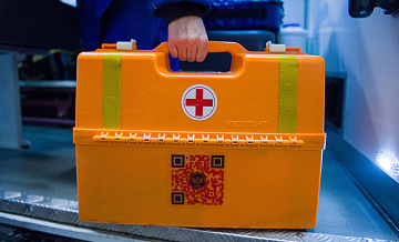 В Орске бездомный пес напал на ребенка