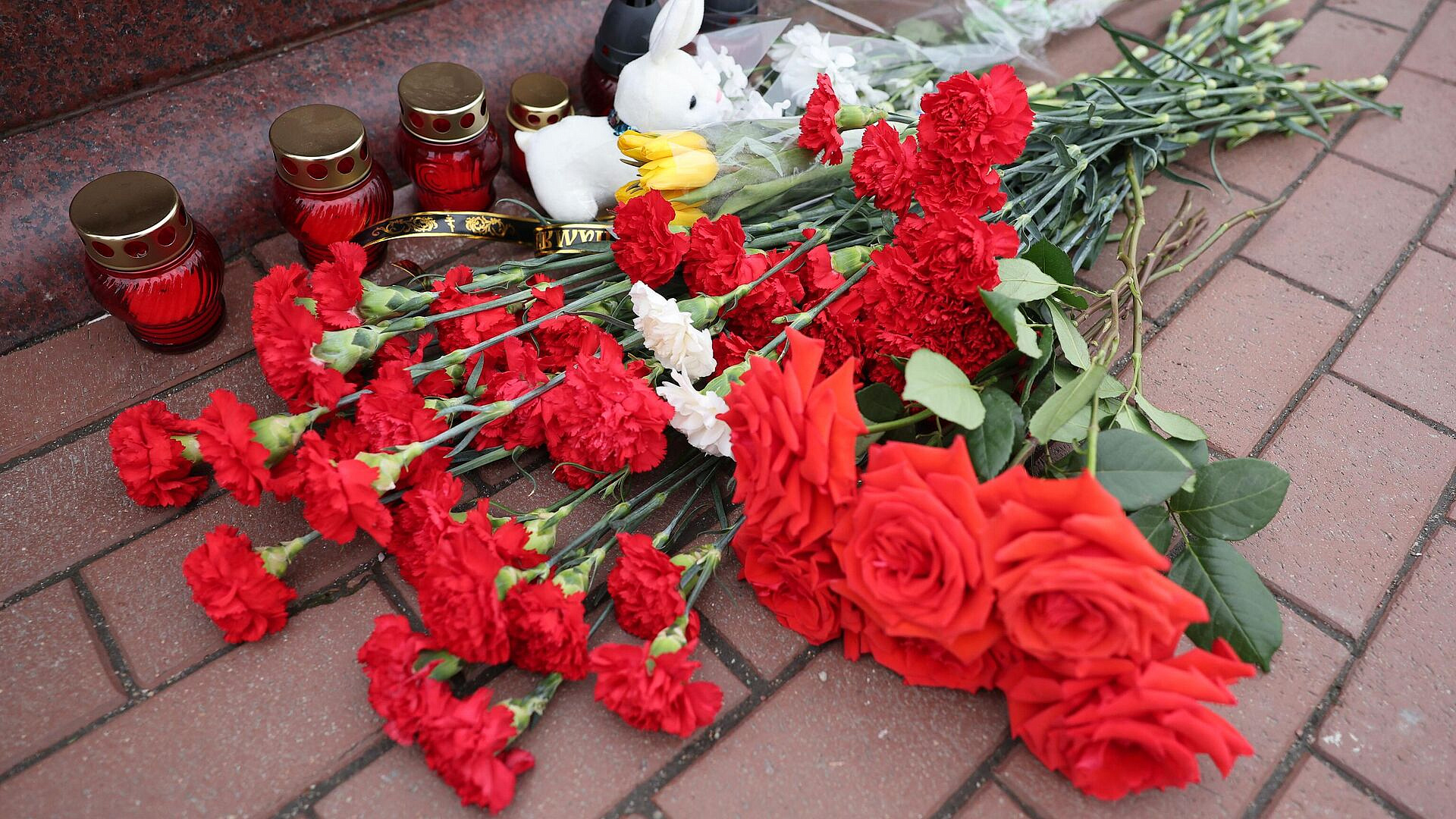 Московский зоопарк отправит помощь пострадавшим в "Крокусе"