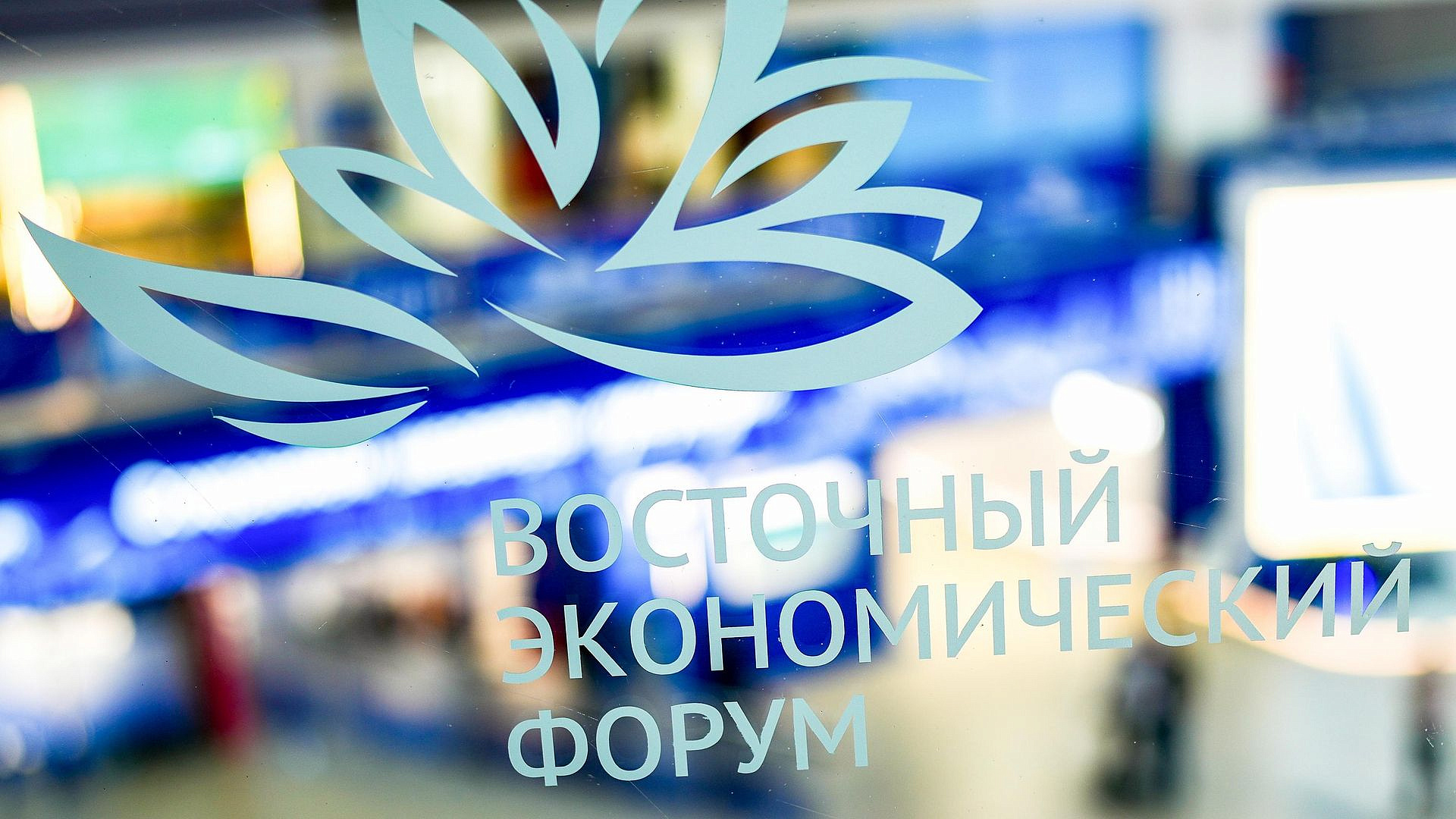МЧС будет круглосуточно обеспечивать безопасность участников ВЭФ