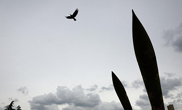 "На пределе": в США ужаснулись от того, что Иран устроил Израилю