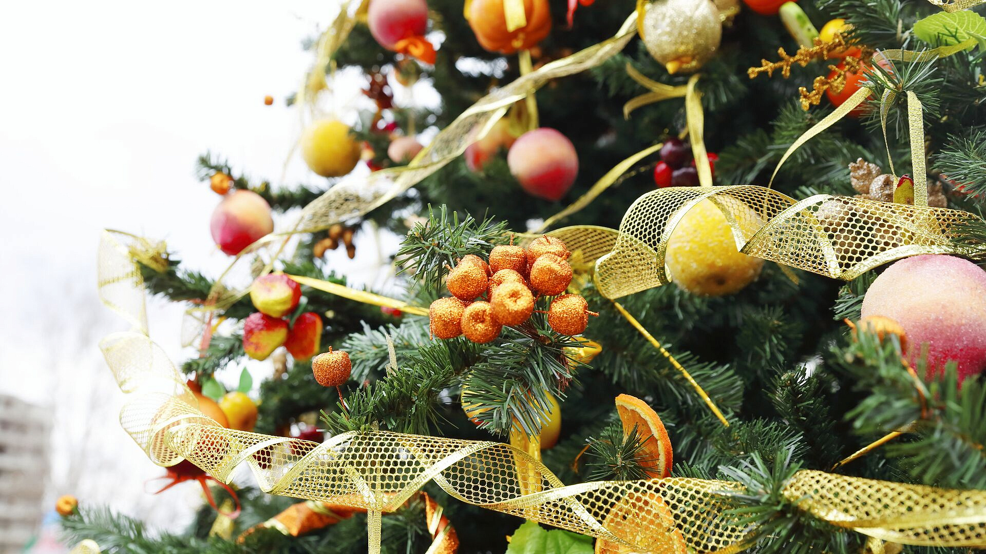 �������� ����������, �� ������� ��������� ���������� ��������� ����