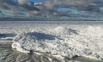 В Калининграде рассказали о замерзании Балтийского моря у берега