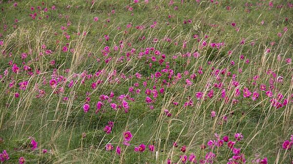 �� ����� ���������� ���������� ��������� ���������������������