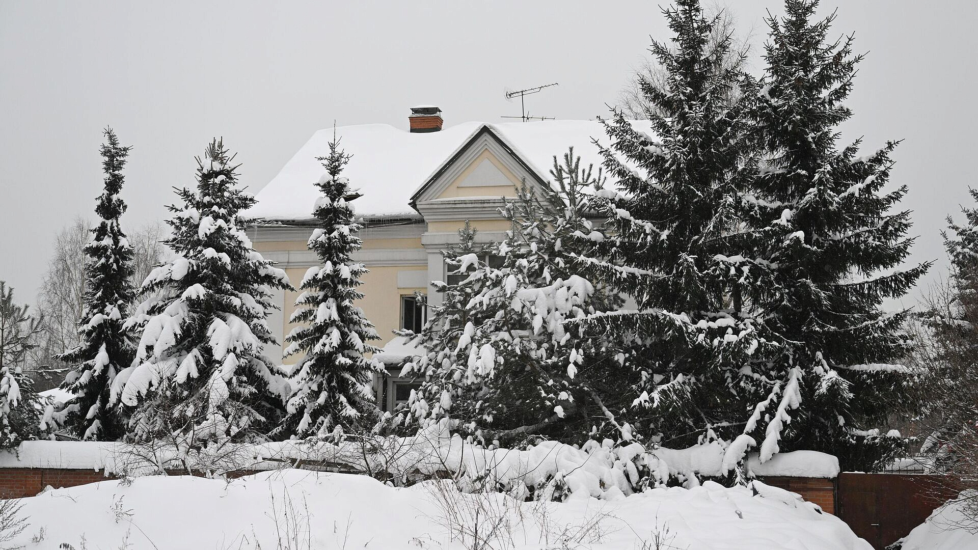 ��������� ����, ��� ������� �������, ������ ������������ ������ � ��������