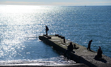 В Сочи усилили наблюдение за прибрежной зоной после ЧП с мазутом
