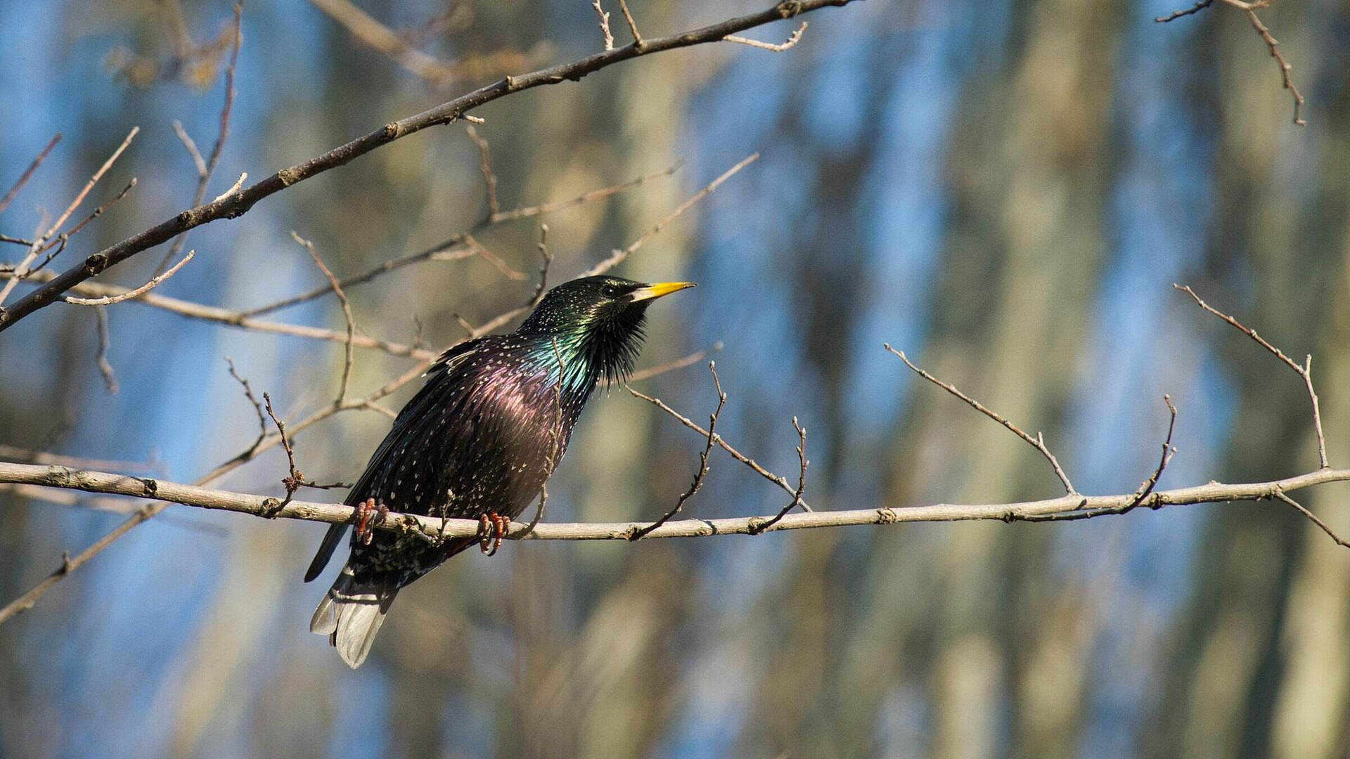 ������� ��������� � ������ ������ �������