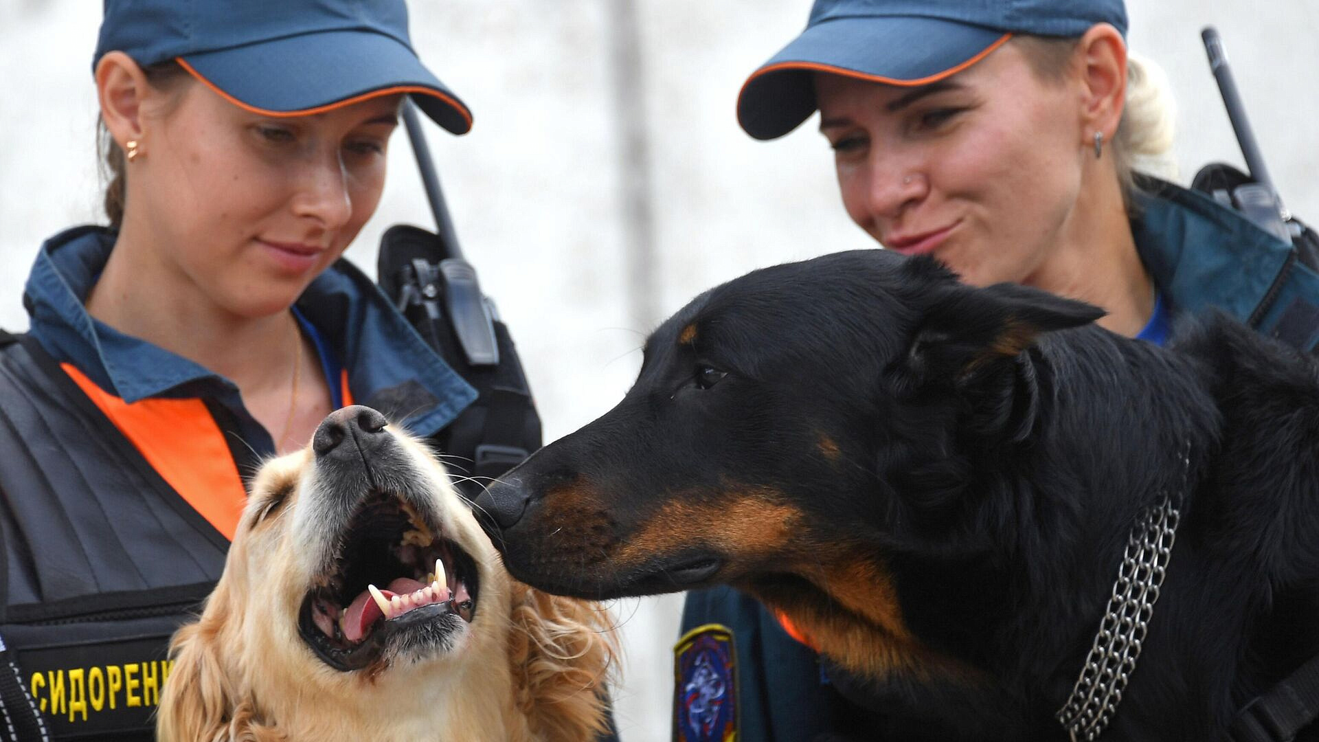 � ������ ���������� � �������������� �  "�������� �������"