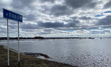 Уровень воды в курганском Звериноголовском превысил десять метров