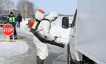 В Новосибирской области опровергли заболевание скота ящуром