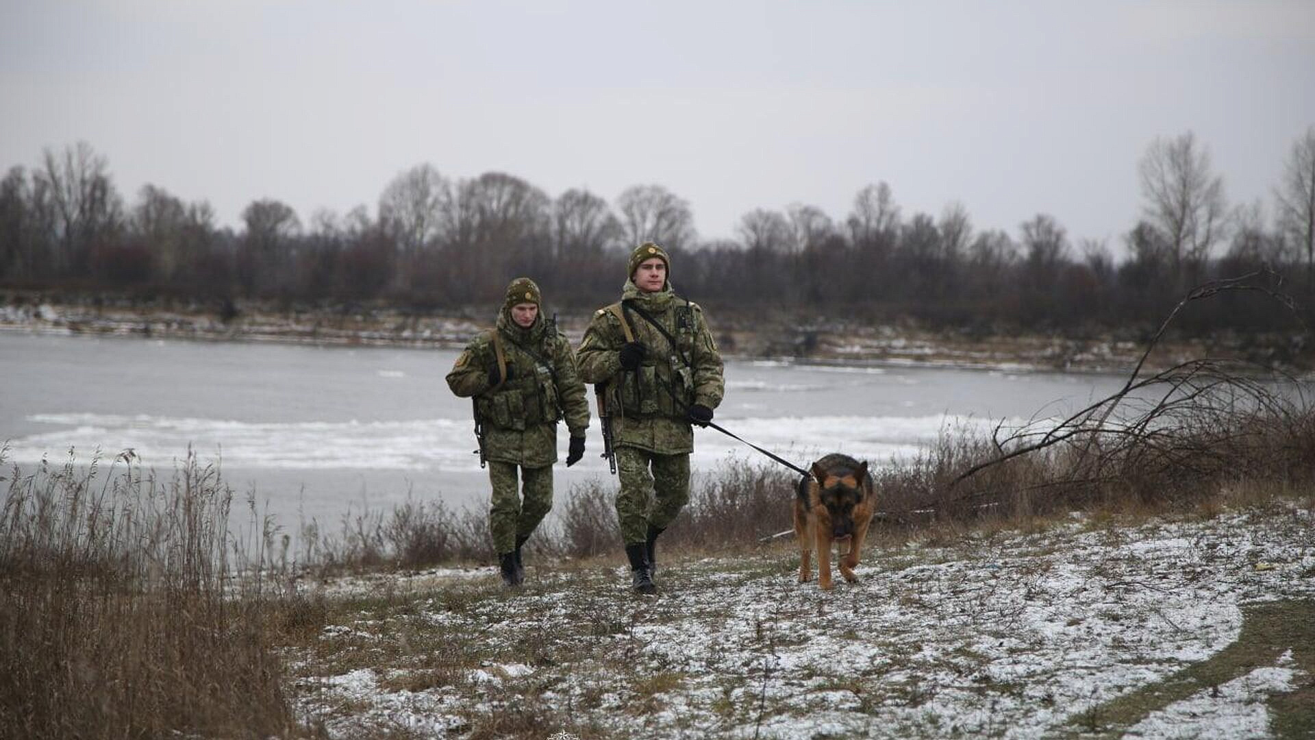 ����������� ������������ ����� ���� ������� � ������� � ������� 