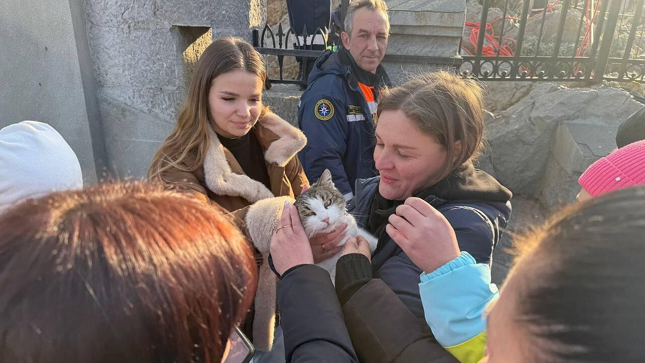 Спасенная в Крыму кошка Муся провела ночь в ветеринарной клинике