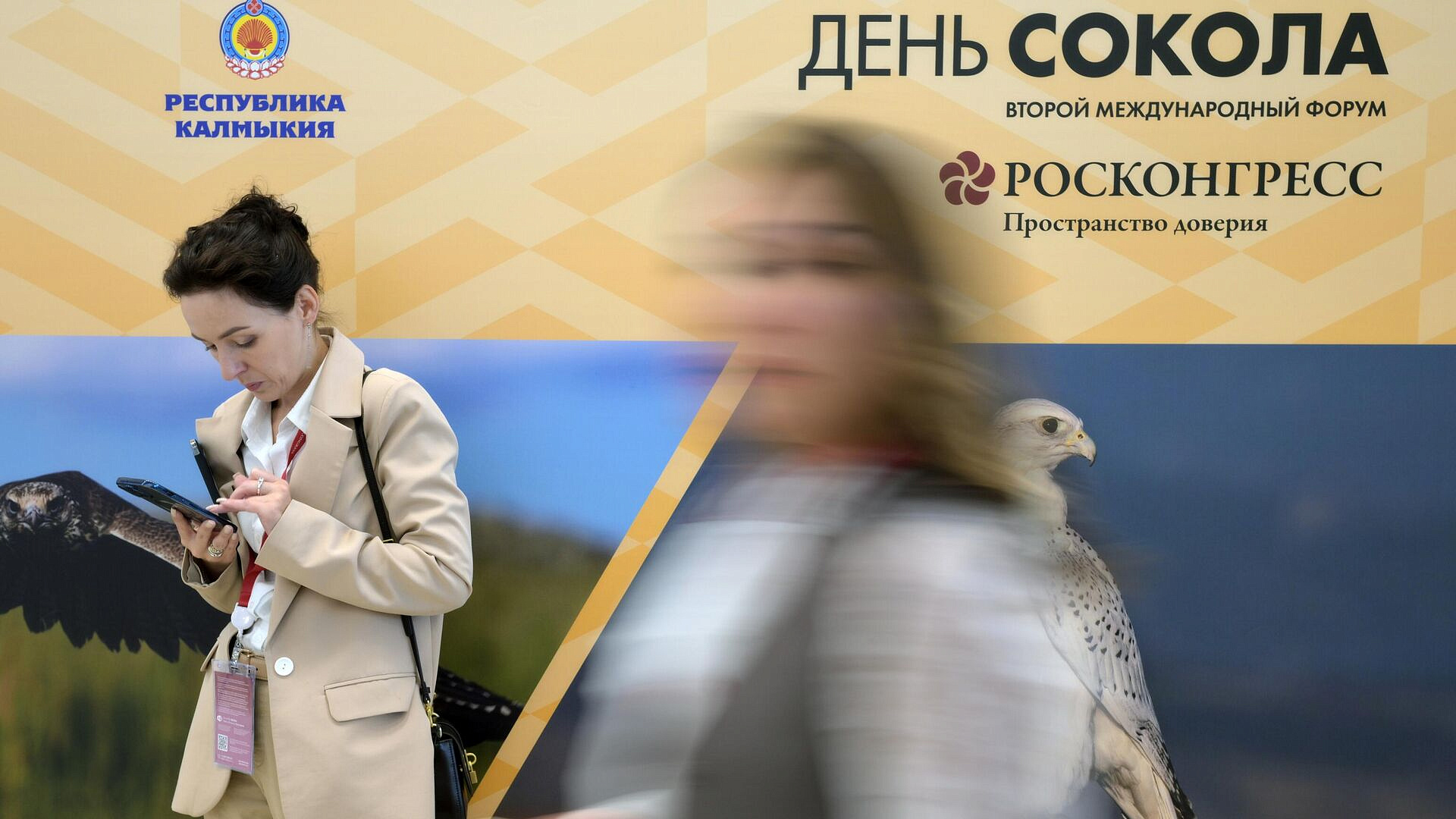 Глава Минприроды надеется, что к сохранению соколов примкнут новые страны