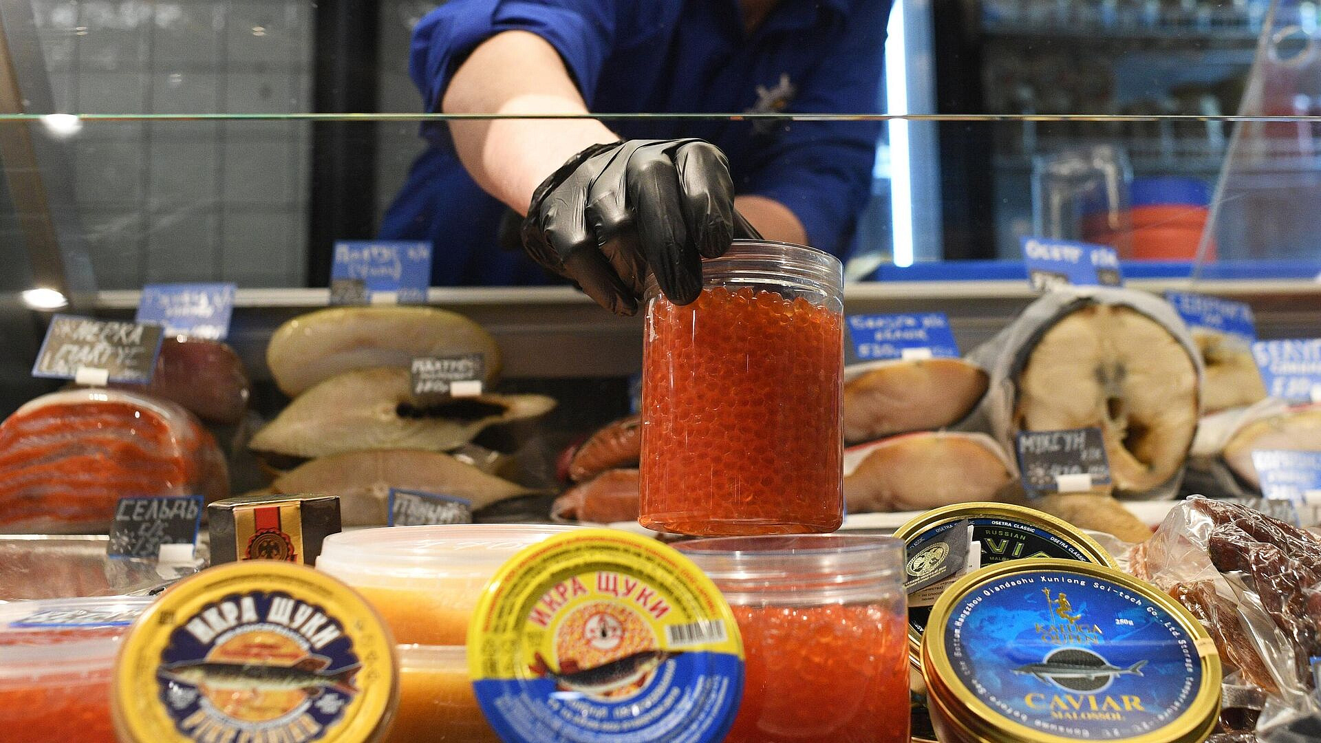 � ������ �������� ������� ���� ����������� � ���������� �����������