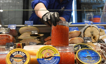 � ������ �������� ������� ���� ����������� � ���������� �����������