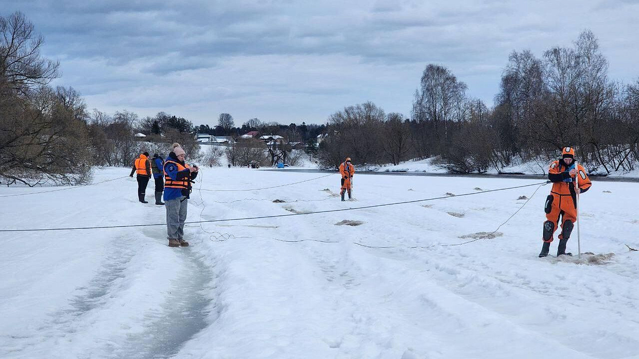 Более 110 человек участвуют в поиске пропавших в Звенигороде детей