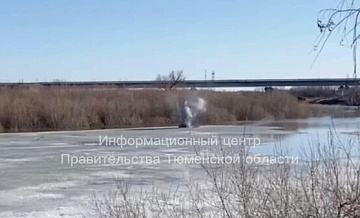 В Тюменской области ограничили движение по двум мостам через реку Ишим