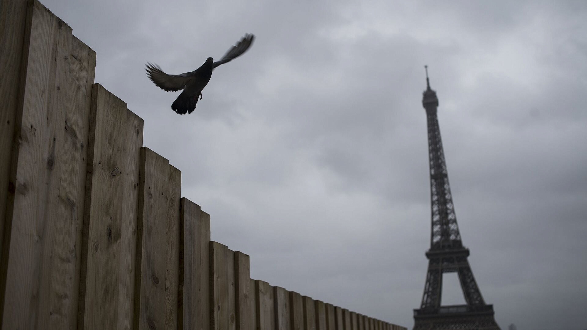 СМИ узнали, почему Telegram "игнорировал" повестки французских силовиков