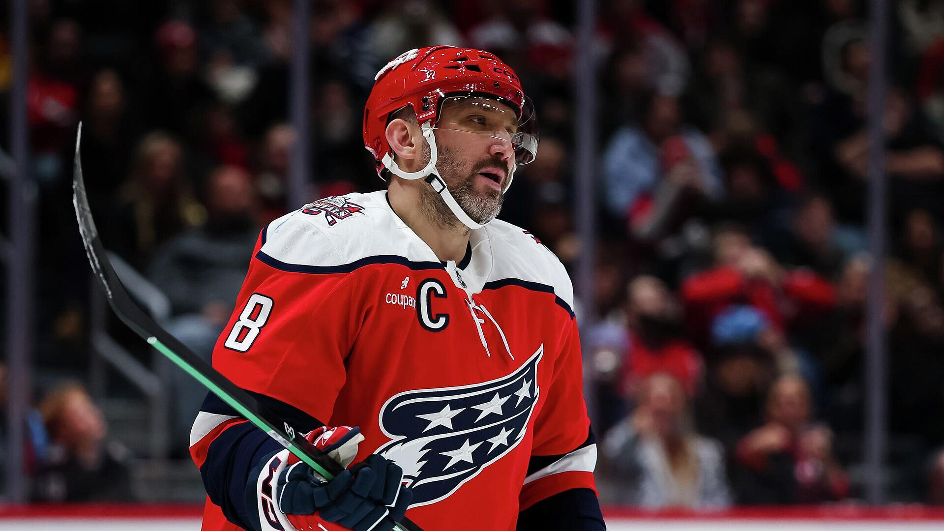 ������� �����! �� ��� ���� ��������, � ��������� �������� � �����������