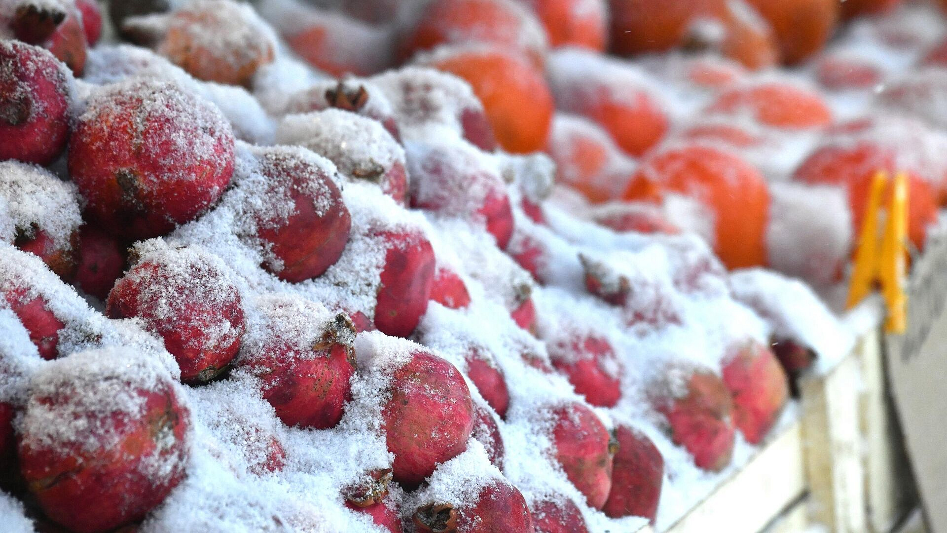 � ������������ ������� ����� 40 ����� ������� �������� ��� �����